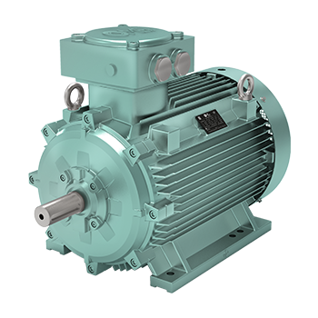 OMEX Motori Low Voltage
